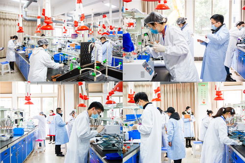 2022年省職業院校技能大賽高職生物與化工類化學實驗技術項目在我校圓滿舉行，聚焦生物化工產品技術研發