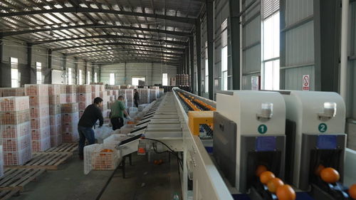 菜鳥物流科技下鄉，助力尋烏農產品進城與快遞進村，自動化與生物化工技術研發再上新階